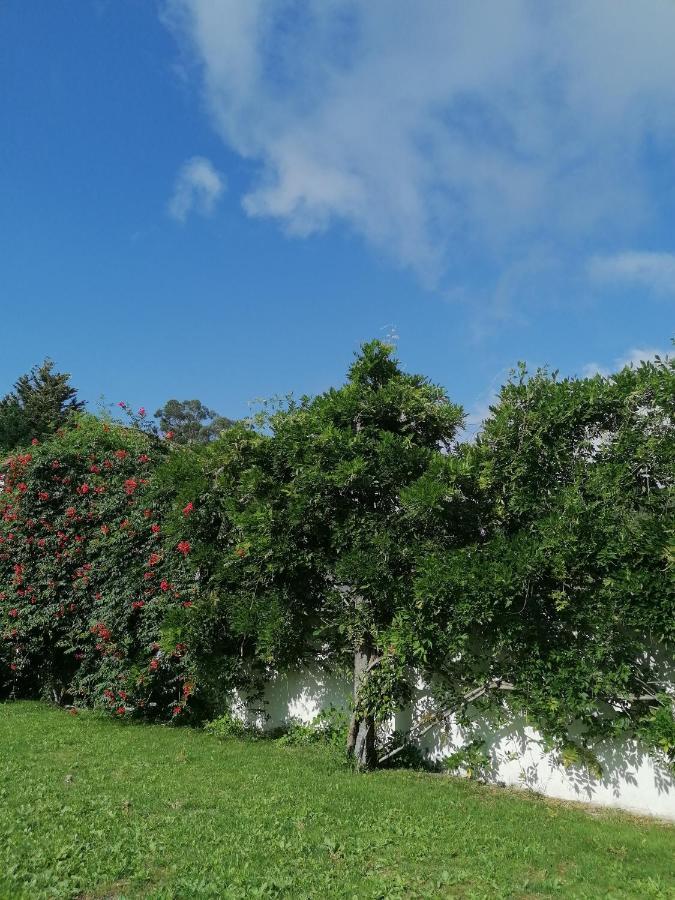 Casa Das Castanheiras Vieira do Minho Eksteriør bilde